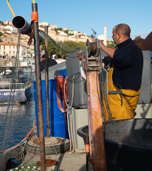 Restaurant de poisson à  Port-Vendres face à la Méditerranée